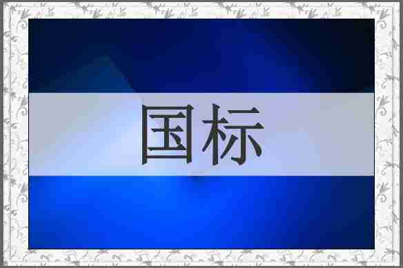 国标