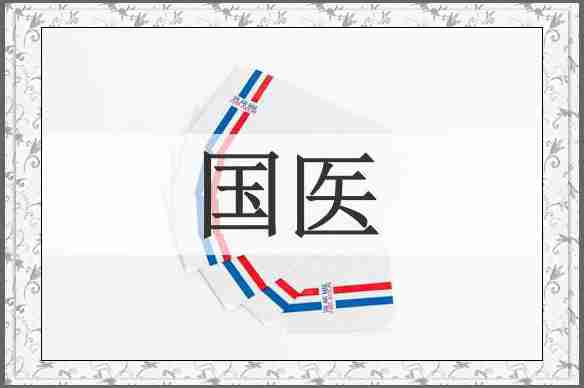 国医