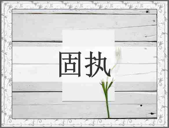 固执