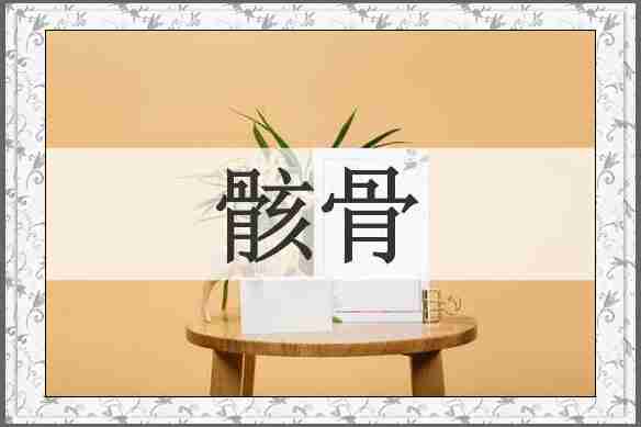 骸骨