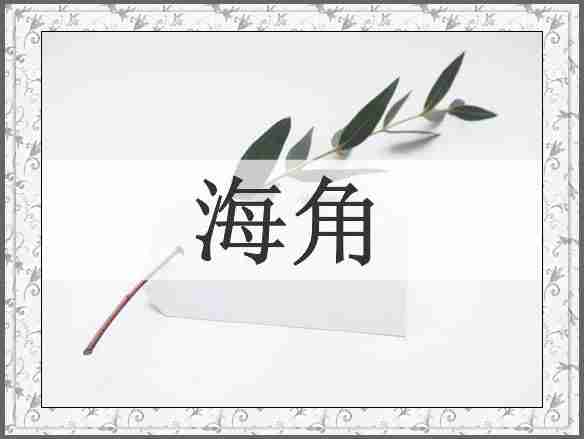 海角