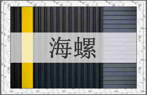 海螺