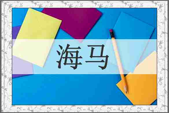 海马