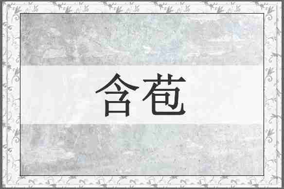 含苞