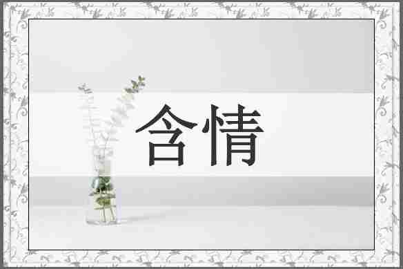 含情
