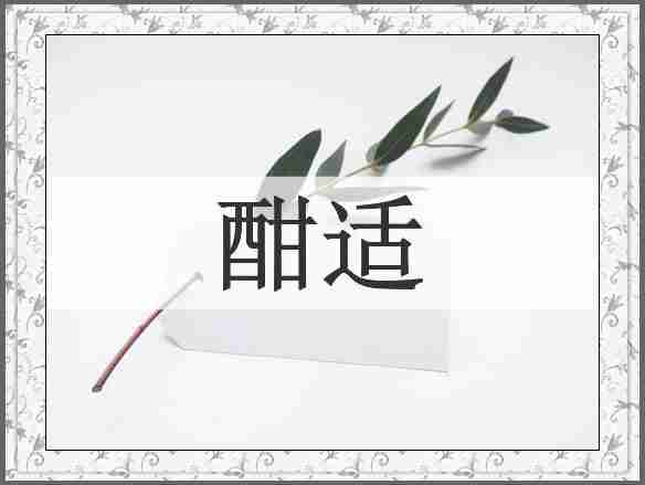 酣适