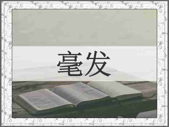 毫发