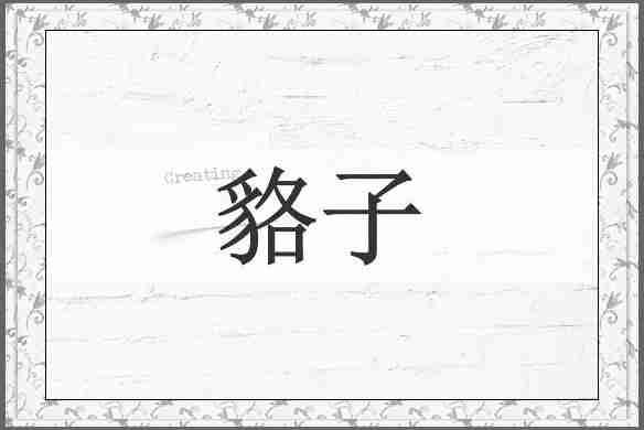 貉子