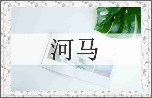 河马