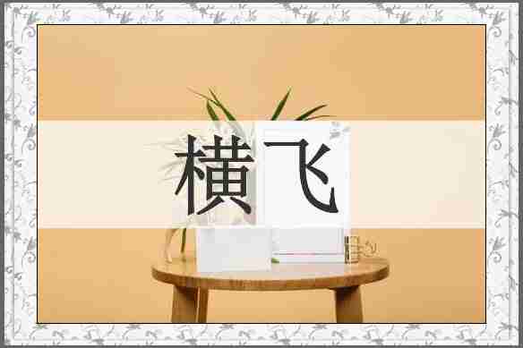 横飞