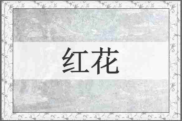 红花