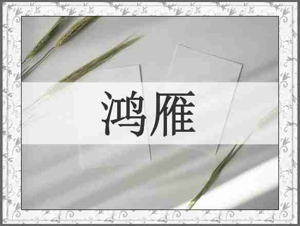 鸿雁