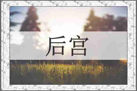 后宫
