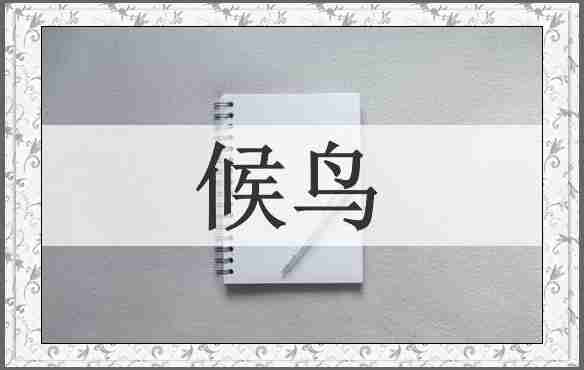 候鸟
