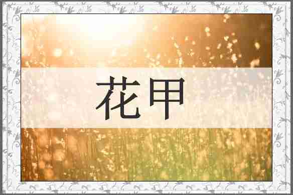 花甲