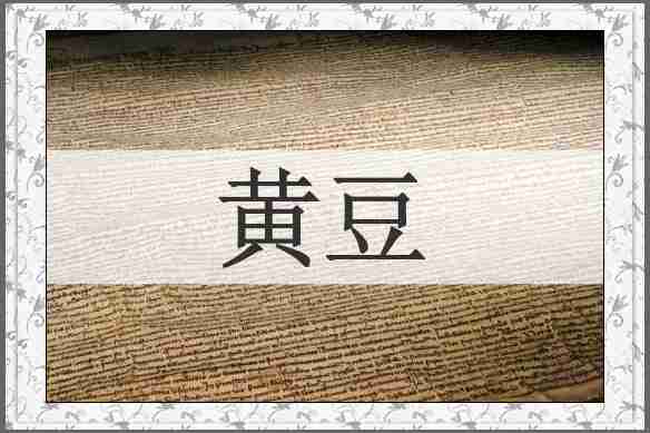 黄豆