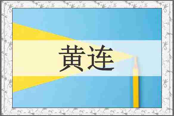 黄连