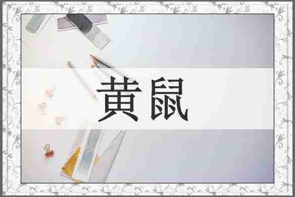 黄鼠