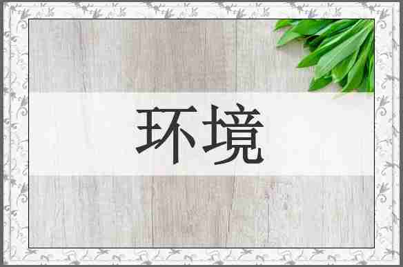 环境
