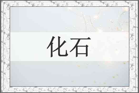 化石