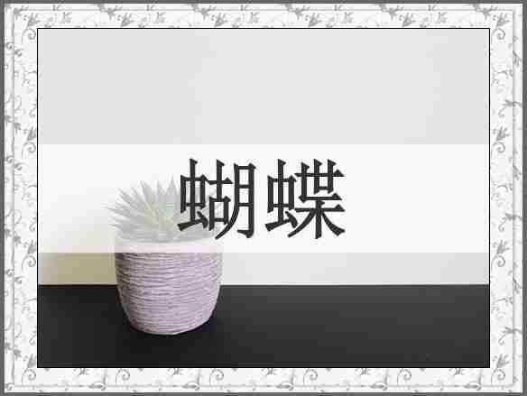 蝴蝶