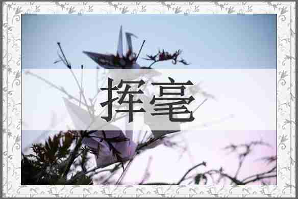 挥毫