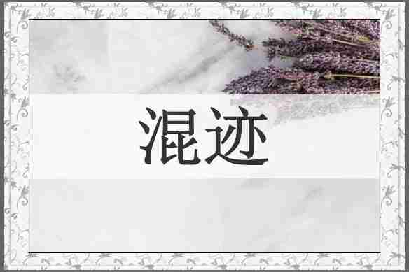 混迹