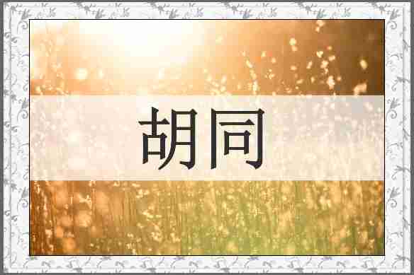 胡同