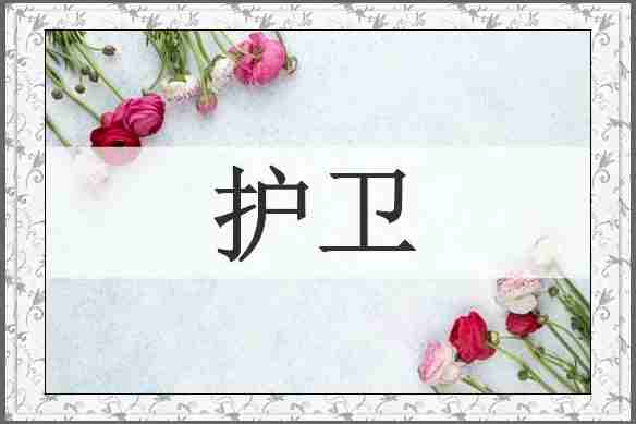 护卫