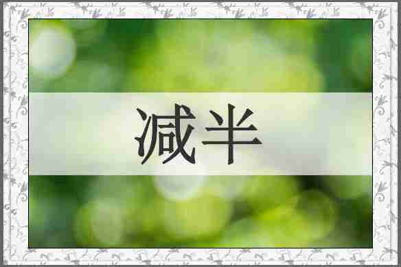 减半