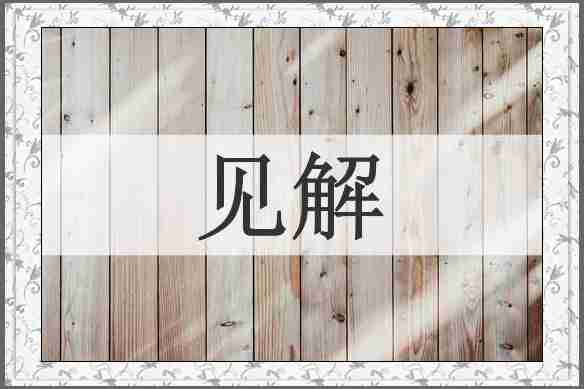 见解