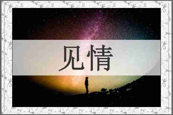 见情
