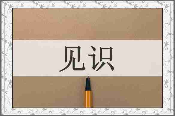 见识