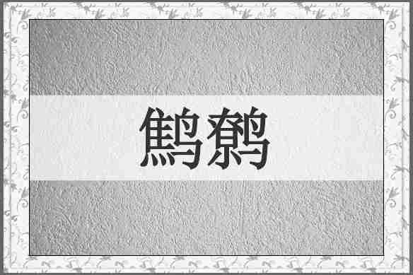 鹪鹩