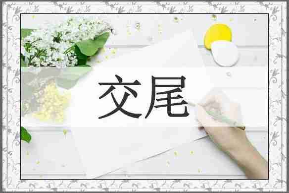 交尾