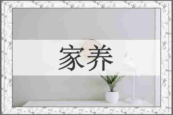 家养