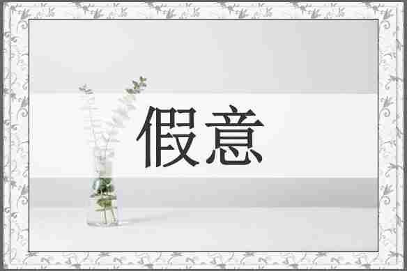 假意