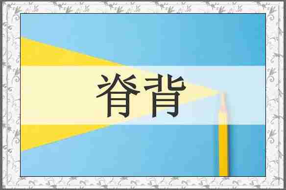 脊背