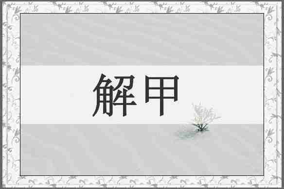 解甲