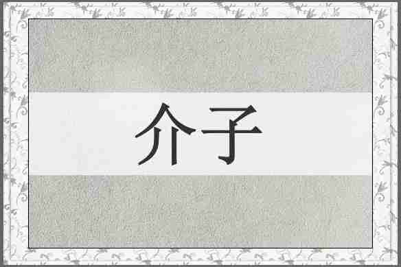 介子
