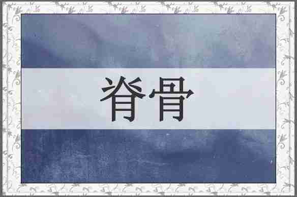 脊骨