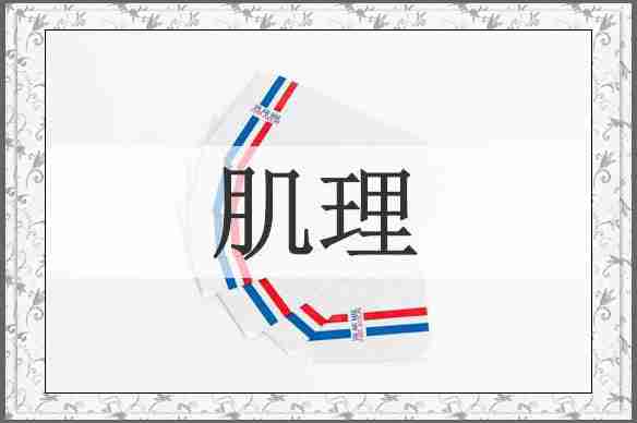 肌理
