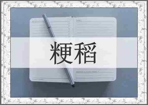 粳稻