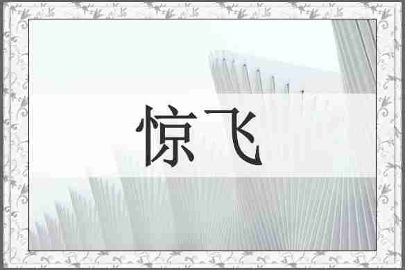 惊飞