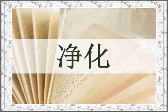 净化