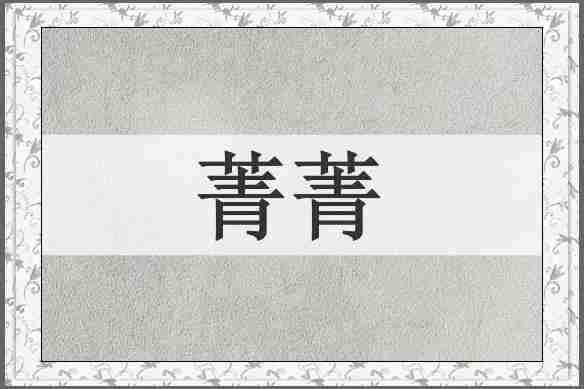 菁菁