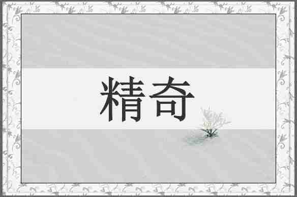 精奇