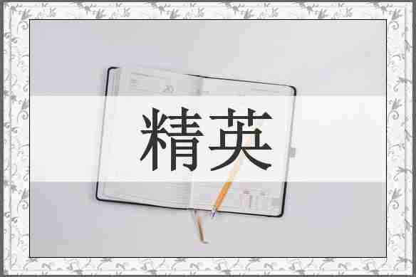 精英