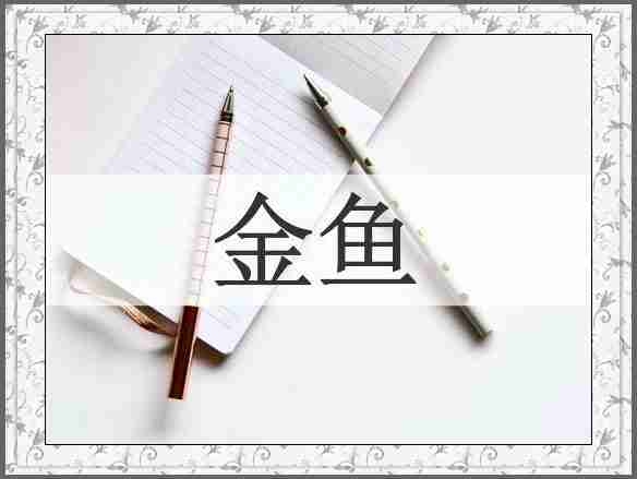 金鱼