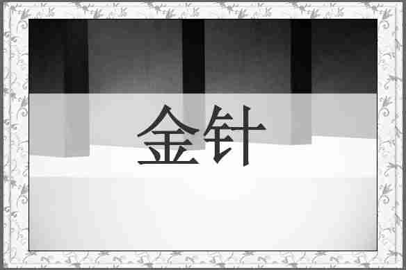 金针